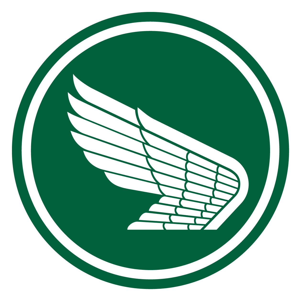 Wings - PNG-8